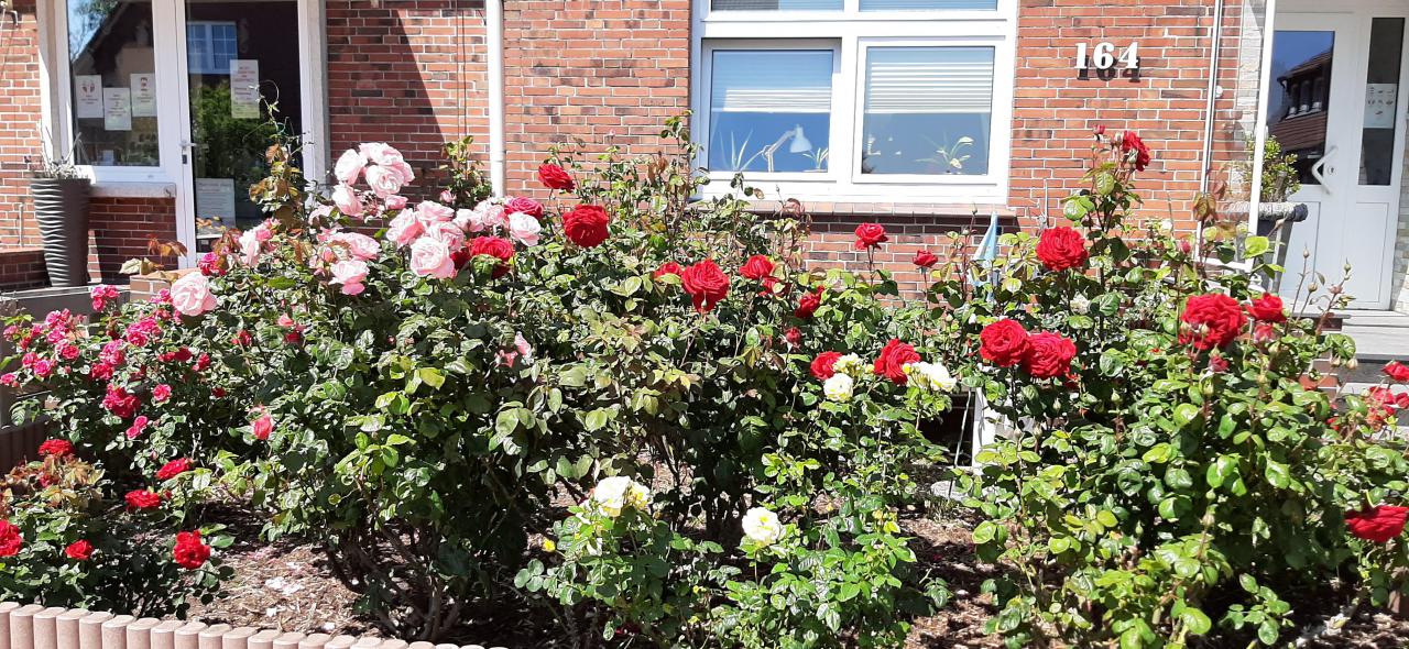 Haus Seepferdchen Insel Baltrum